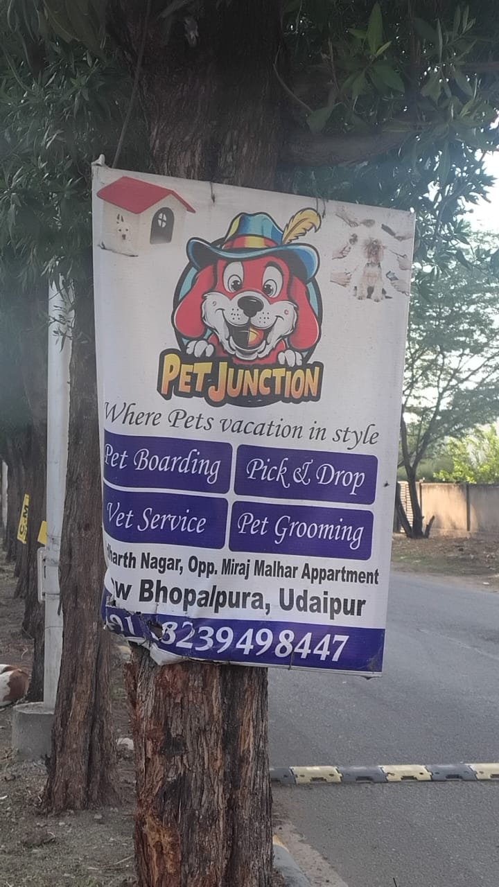 Pet food and Services